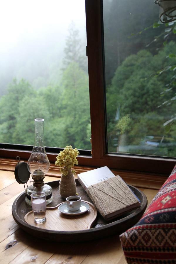 Ayder Imamoglu Apart Otel Экстерьер фото